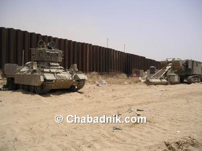 Прикрепленное изображение: monstro.jpg